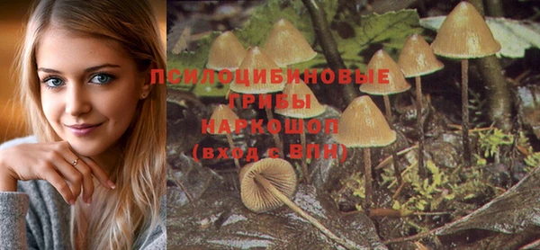 таблы Пересвет